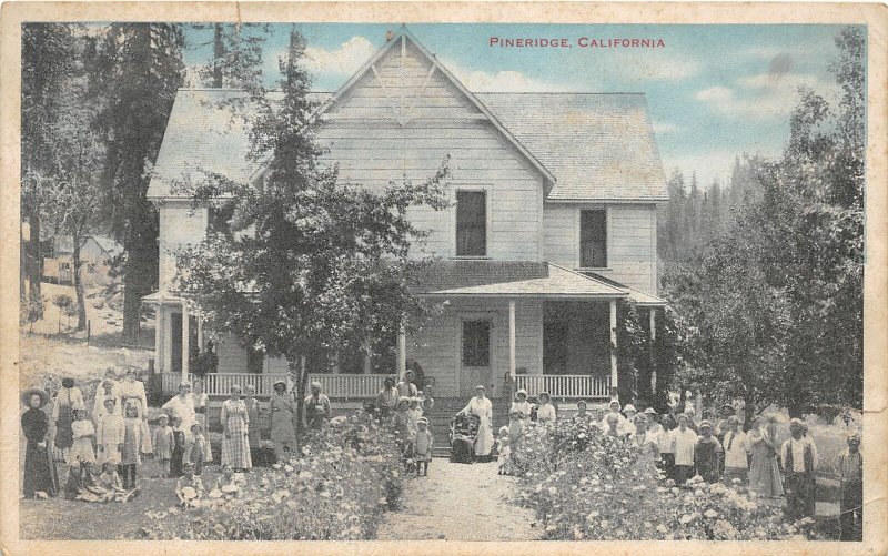 F81/ Pineridge California Postcard 1919 Orphanage? Kids Home