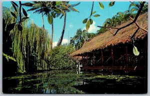 Vtg Honolulu Hawaii HI The Willows Restaurant Fine Dining 1950s View Postcard