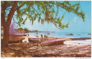 Fishermen´s Nets Drying Out In The Sun, Barbados, West Indies, 1950-1960s