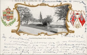 Couchiching Beach Park Orillia Ontario ON Patriotic Flag c1905 Postcard F35