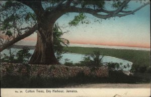 Dry Harbour Jamaica Cotton Trees c1910 Vintage Postcard