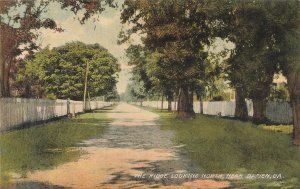Darien Georgia GA~The Ridge Looking North~1909 P S Clark Postcard