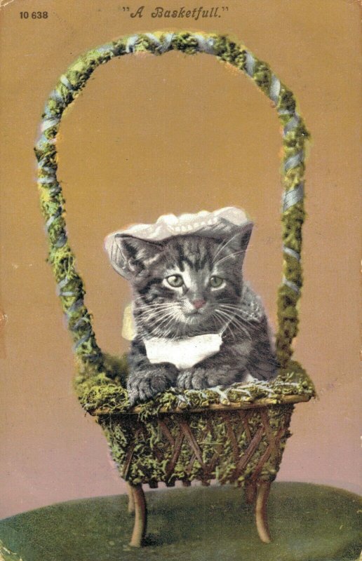 Kitten Vintage Postcard A Basketfull Vintage 03.33