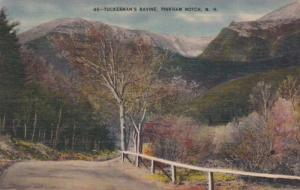 New Hampshire Pinkham Notch Tuckerman's Ravine 1950