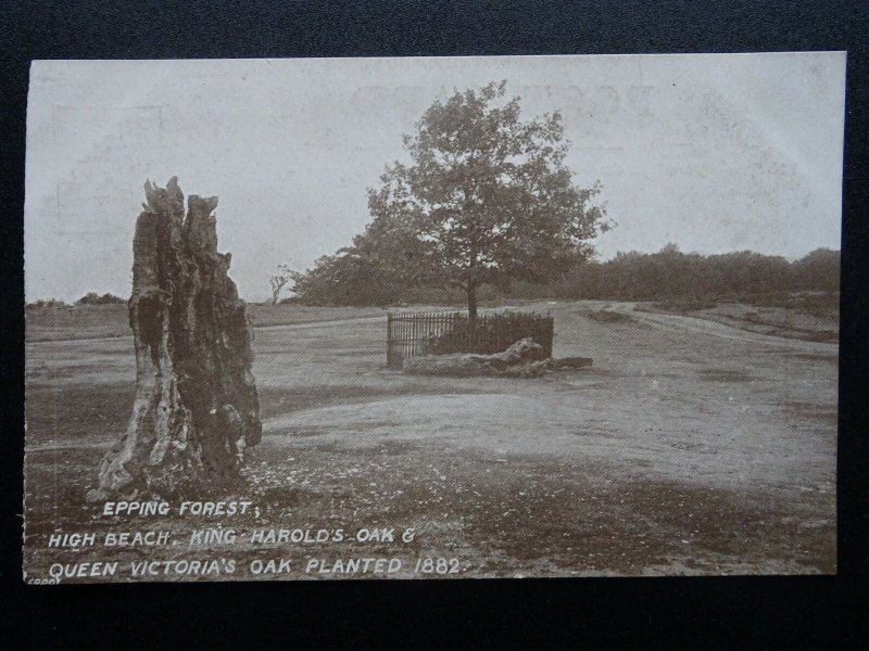 London Essex EPPING FOREST King Harolds Oak & Victorias Oak - Old RP Postcard