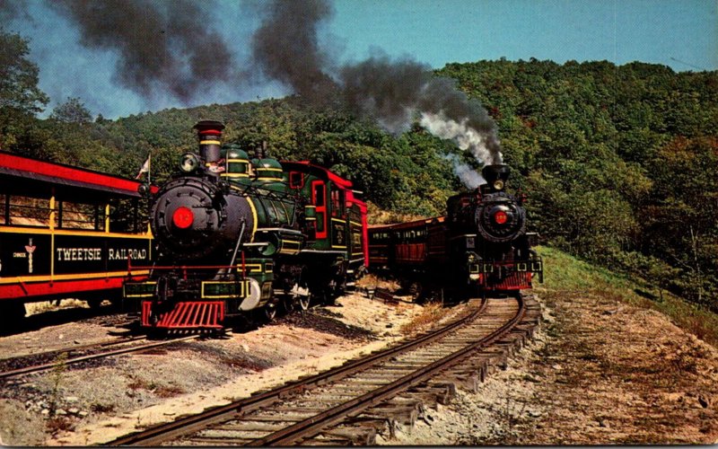 Trains Tweetsie Narrow Gauge Railroad Blowing Rock North Carolina