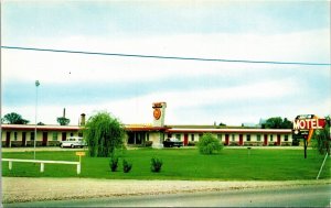 Postcard ON Pembroke Laurentian Motel Highway 17 Classic Cars 1960s S98