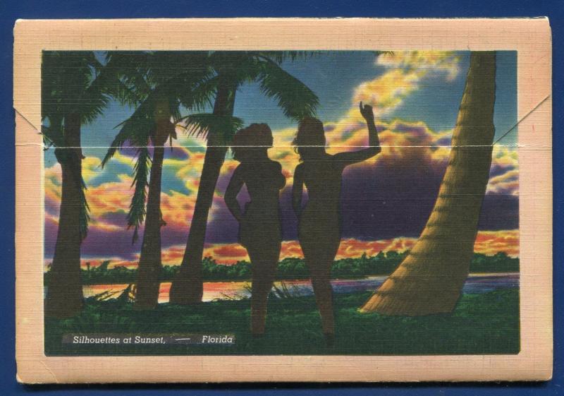 Florida the Lovely Land Seaboard Lines Train Miami Beach postcard folder 