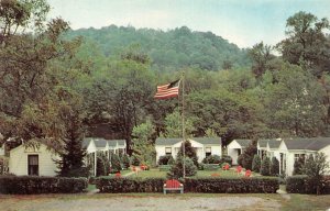 WHEELING, WV West Virginia MAPLE TREE MOTOR COURT Motel~Cabins ROADSIDE Postcard