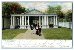 1906 Hygeia Spring People Waukesha Wisconsin WI Vintage Antique Posted Postcard