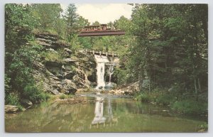 State View~Thrilling Marble Falls West Po'k Chop RR~Vintage Postcard