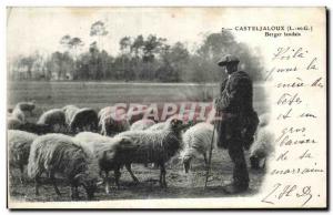 Old Postcard Casteljaloux Shepherd Landais Sheep Sheep