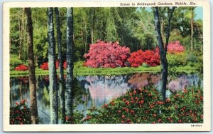 Postcard - Scene in Bellingrath Gardens - Mobile, Alabama