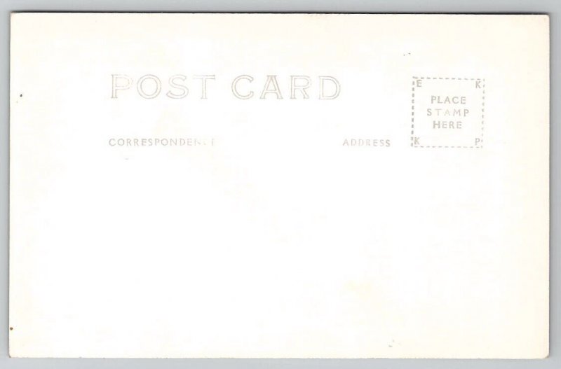 Harmony Minnesota Trail to Falls Cavern Underground Niagara Cave Postcard E24