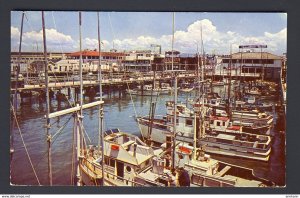 Fishing Fleet, Fisherman's wharf, San Francisco California USA pier #C4240