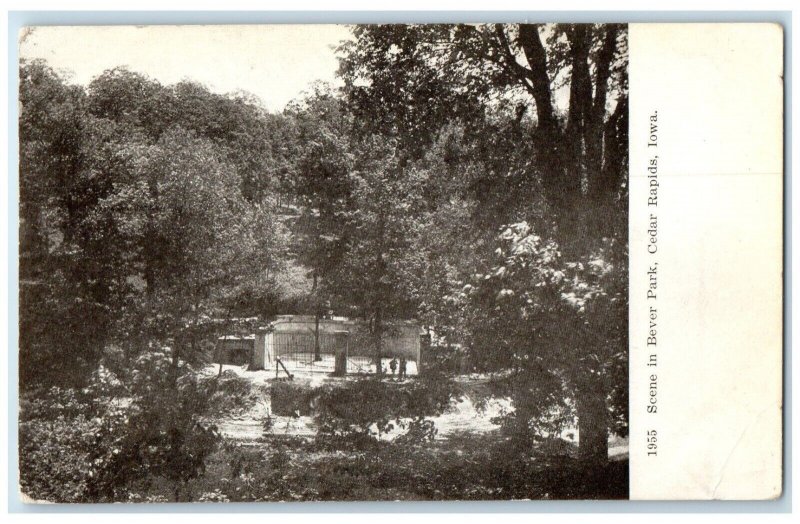 c1905 Scene Bever Park Exterior View Cedar Rapids Iowa Vintage Antique Postcard