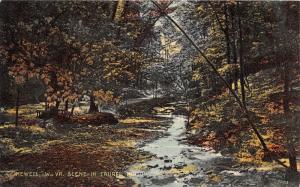 E92/ Newell West Virginia Postcard 1908 Laurel Hollow Park 24