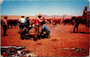 Round Up Time Cowhands Cattle Horses Rope Mountain Postcard WOB 2 Cent PM 