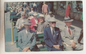 P2698 1960 postcard people the famous green benches st petersburg florida