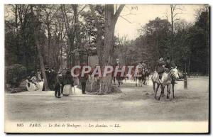 Old Postcard Paris Bois De Bouloge Les Acacias Horsemen Horse Horses