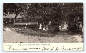 ACCOMAC, PA Pennsylvania ~ The PAVILION & RIVER ROAD 1906 York County Postcard