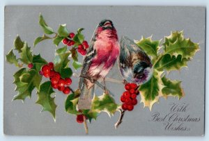 c1905 Christmas Birds And Holly Berries Nash Hudson New York NY Antique Postcard