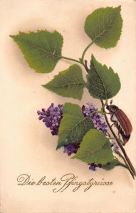 Pentecost Greetings Maybug Insect lilac flowers vintage postcard C318