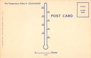 Hungry Alligator Florida, USA Alligator Unused 