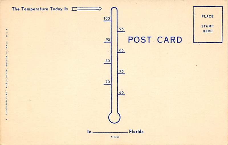 Hungry Alligator Florida, USA Alligator Unused 