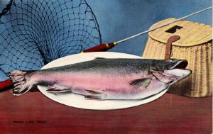 Fish - Maine Lake Trout