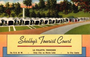 Tennessee La Follette Shelby's Tourist Court Curteich