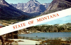 Montana The Treasure State Multi View