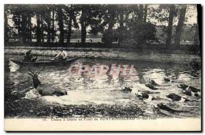 Old Postcard Hunting hounds was in the Forest of Fontainebleau Bat & # 39eau ...