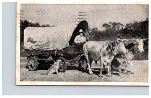 Uncle Jim Fairchild and Oxen