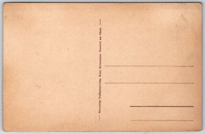 Andernach Germany c1910 Postcard Namedy-Sprudel Geyser