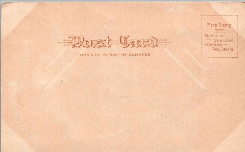 Lady Representing Denmark with Flag - glittered - c1903