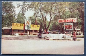 Vintage Postcard 1950's Buffalo Bill Trading Post Scout Rest Ranch Platte Neb
