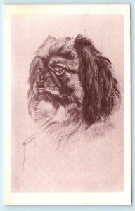 FORD CARY Artist Signed DOG Portrait PEKINGESE Postcard