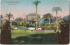 Alexandrie Egypte Jardins De Nouzha 01.20