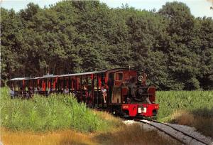 BC59167 Le Parc de Saint Eutrope trains train