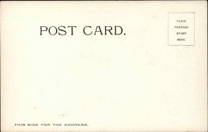 Long-Haired Black Cat MAXIMO GOMEZ c1905 Postcard