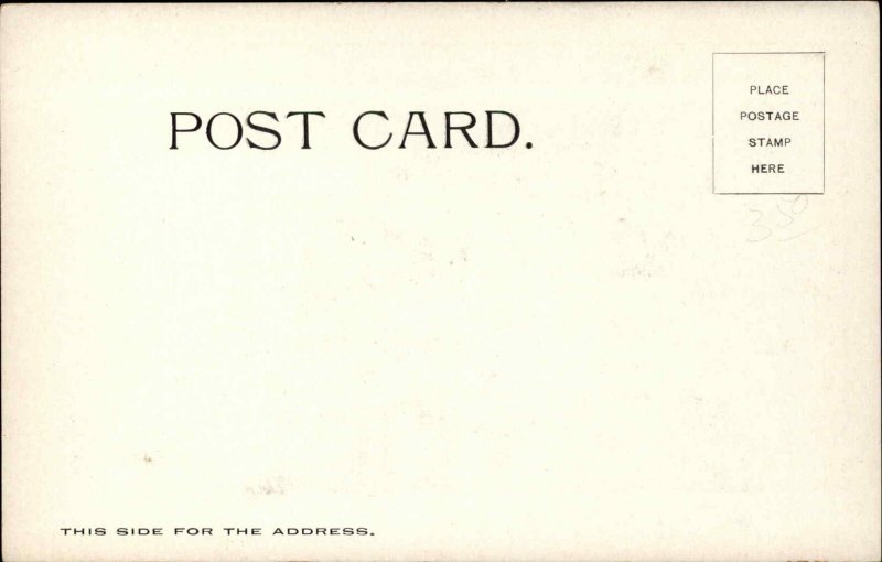 Long-Haired Black Cat MAXIMO GOMEZ c1905 Postcard