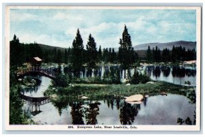 c1920s Evergreen Lake Near Leadville Scene Colorado CO Unposted Vintage Postcard 