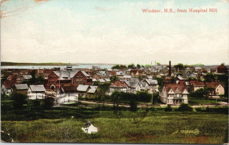 Windsor Nova Scotia NS from Hospital Hill Postcard F3