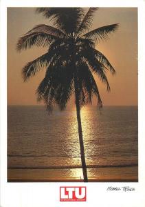 Seascape sunset palm tree photo postcard Michael Friede LTU Airways advertising