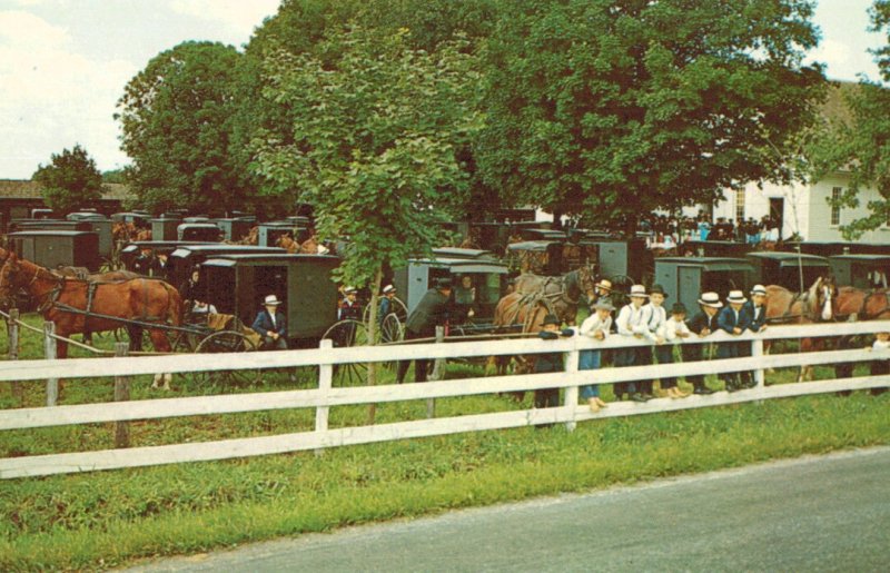 Old Order Mennonites - Church yard filled with horse-drawn buggies in Sunday ...