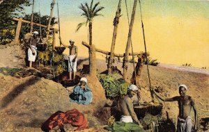 AFRICA~EGYPT-SHADUFS CHADOUFS~IRRIGATION SYSTEM~1925 POSTCARD