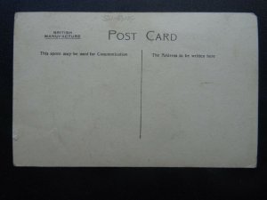 Shipping H.M.T. CZARITZA liner - Old RP Postcard