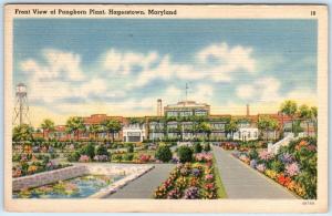 HAGERSTOWN, Maryland  MD   Front View PANGBORN PLANT  1954 Linen   Postcard