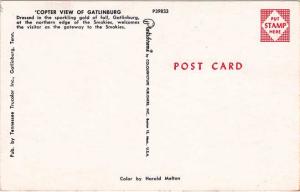 Gatlinburg TN, Tennessee - Aerial Helicopter View